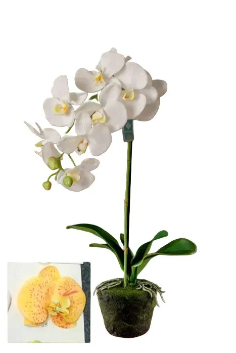 עציץ סחלב סיליקון 63 ס"מ צבע כתום - Image 3
