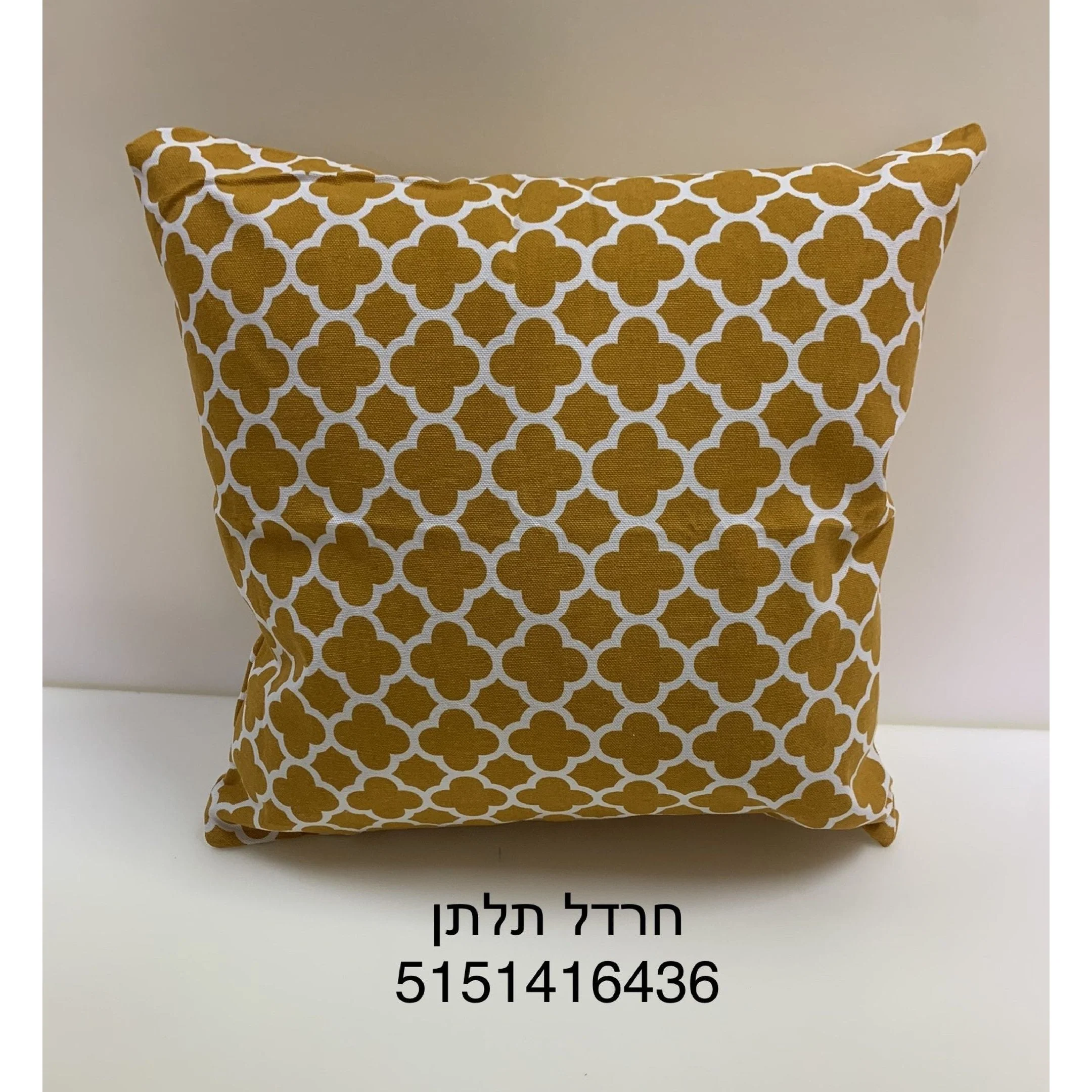 תמונה ממוזערת 1