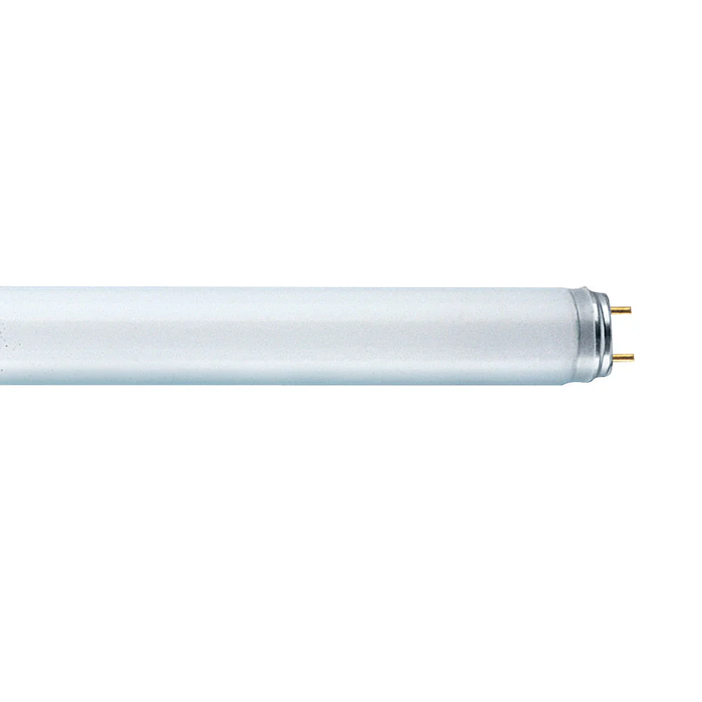 נורת פלורסנט לומילוקס 58W T8 אור קר אורך 1500mm